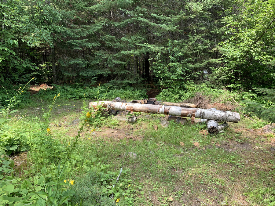 Bower Trout Lake Campsite 4