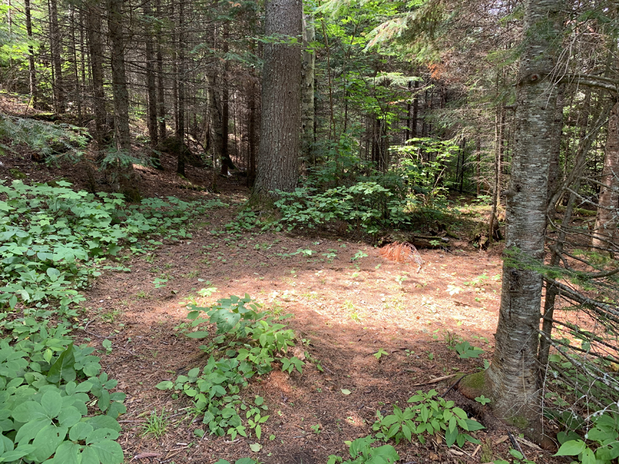 Bower Trout Lake Campsite 7