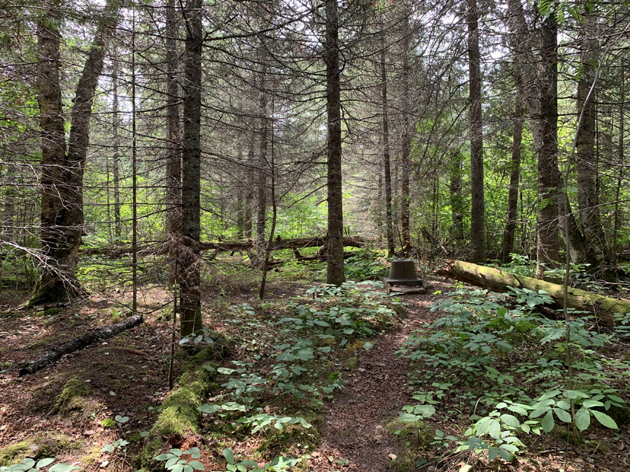 Bower Trout Lake Campsite 8