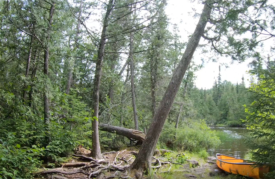 South Brule River to Swan Lake Portage 3