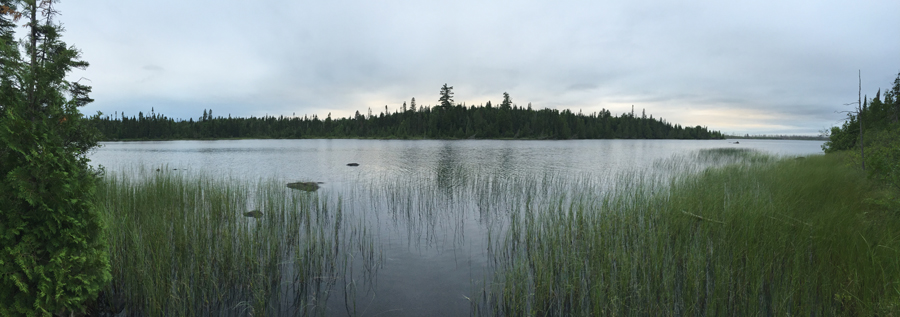 Bog Lake 1