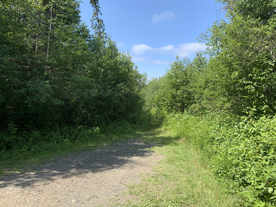 Bower Trout Lake Entry Point 6