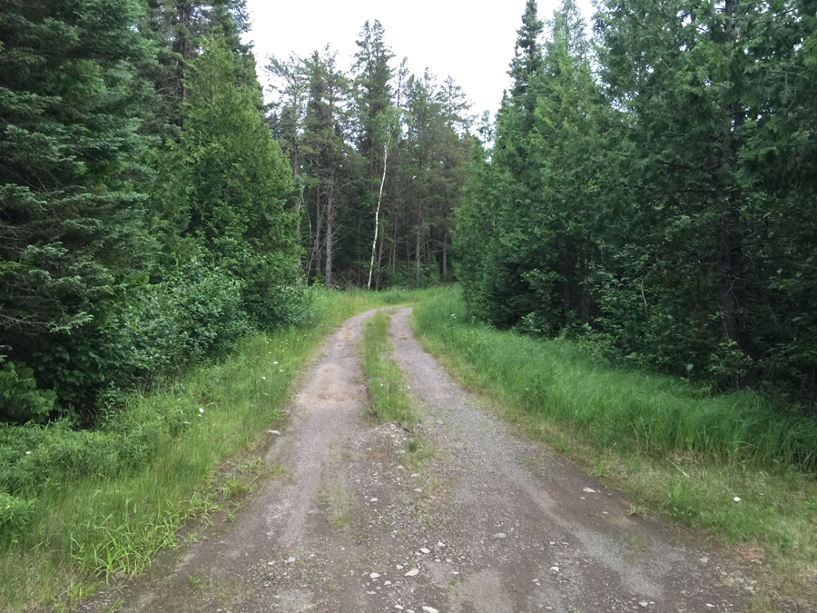 BWCA Entry Point 67 - Bog Lake