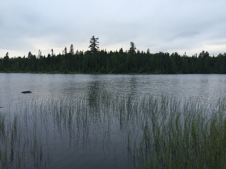 BWCA Entry Point 67 - Bog Lake