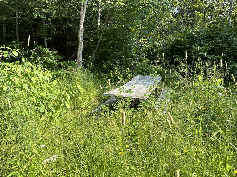 Border Route Trail Campsite 3