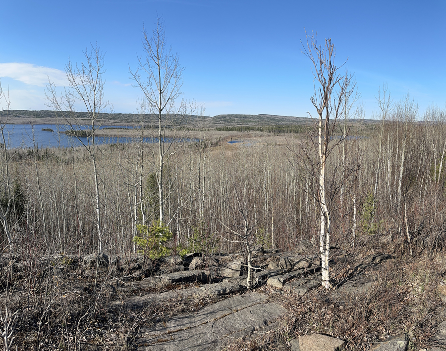 Border Route Trail 29A