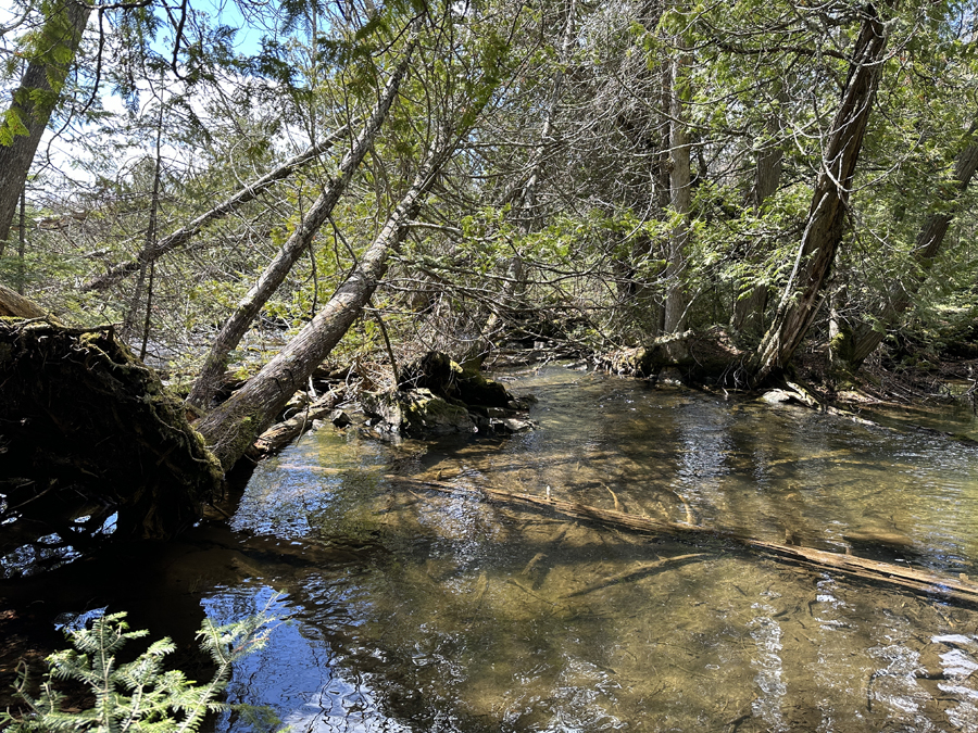 Caribou Rock Trail 12