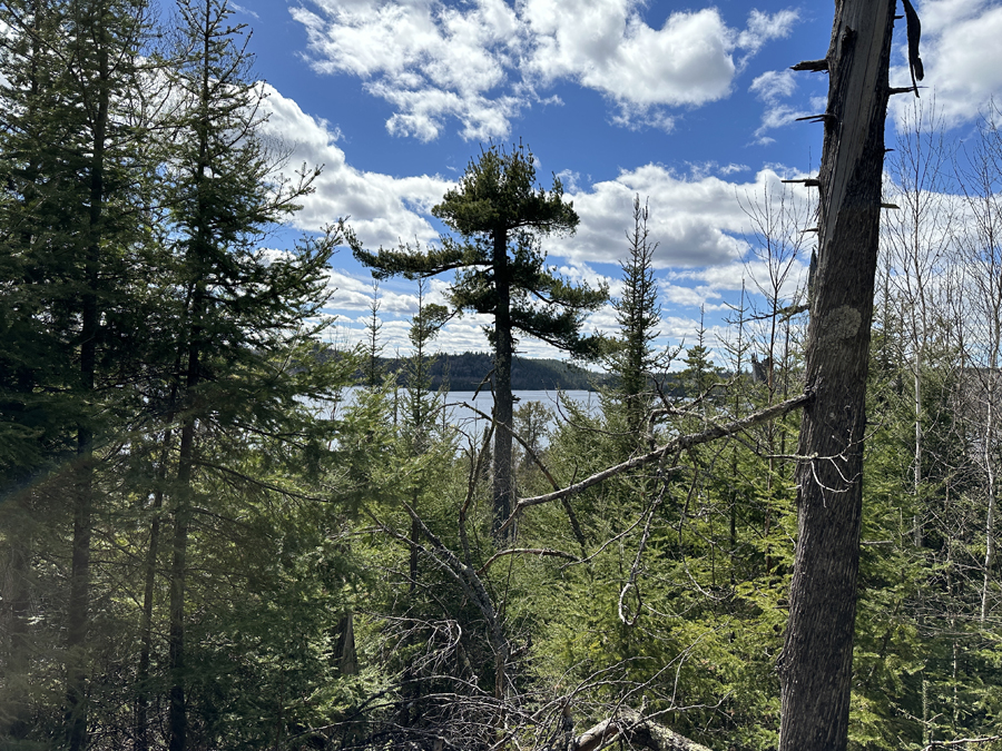 Caribou Rock Trail 10