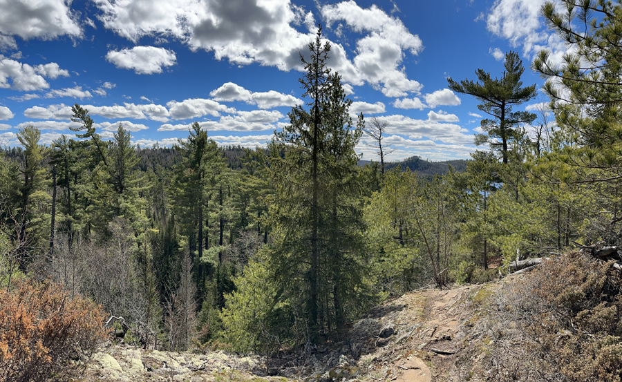 Caribou Rock Trail 8