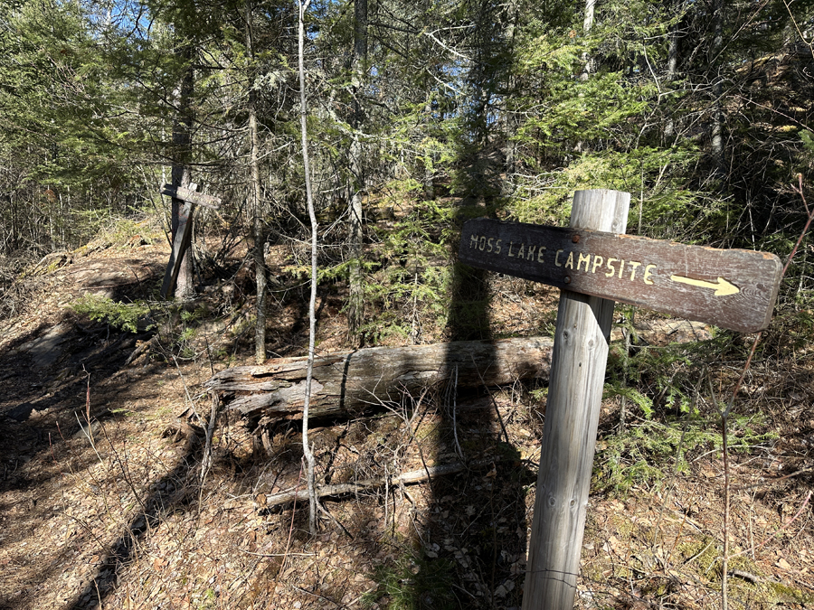 Caribou Rock Trail 5