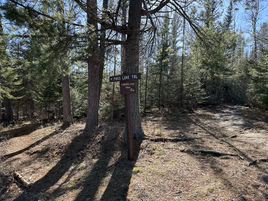 Caribou Rock Trail 3