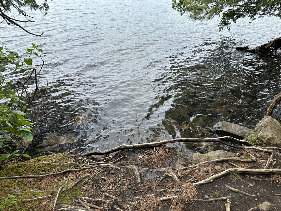 Clearwater Lake Palisades Trail 1