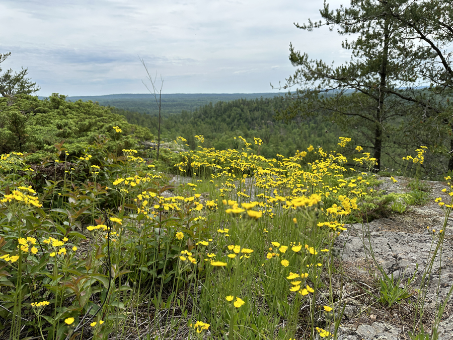 Clearwater Lake Palisades Trail 6