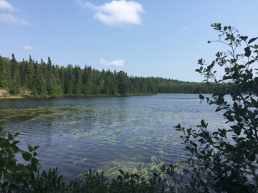 Eagle Mountain Trail in the BWCA