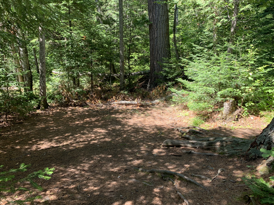 Alder Lake Campsite 6