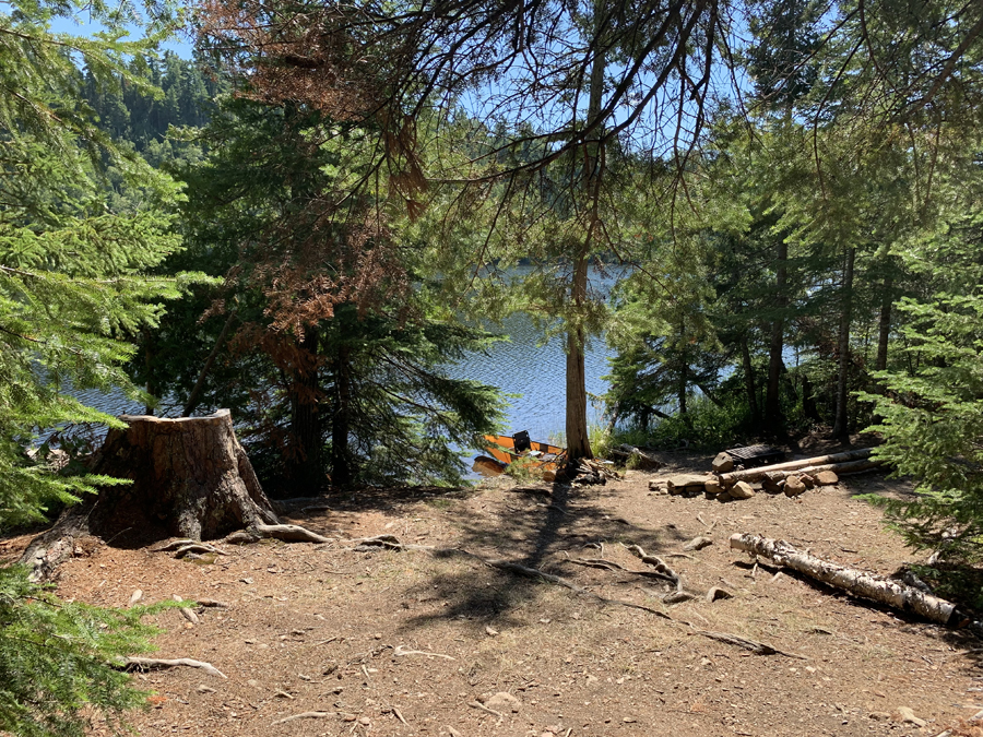 Alder Lake Campsite 9