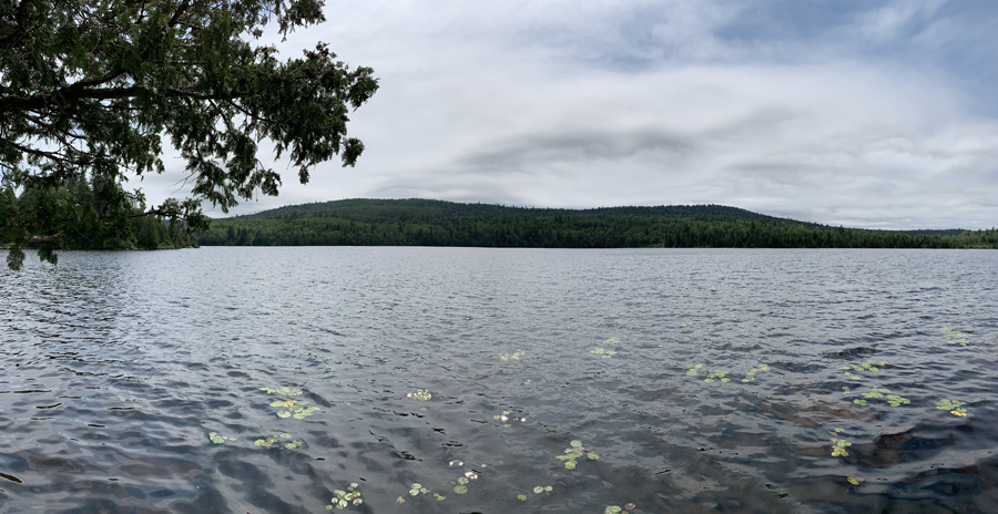 Bower Trout Lake 3