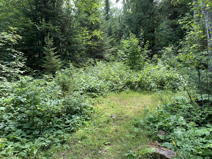 Bower Trout Lake Campsite 6