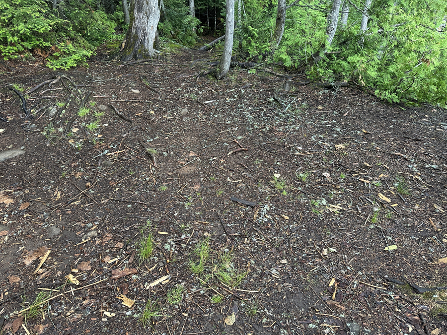 Caribou Lake Campsite 8