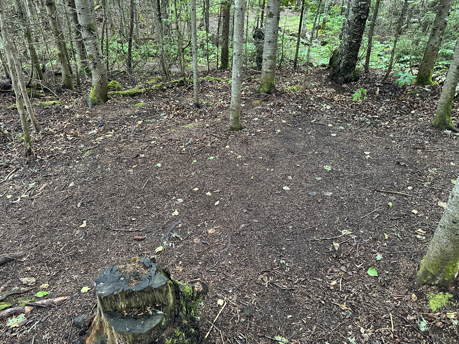 Caribou Lake Campsite 6