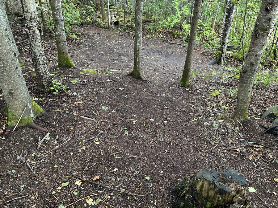 Caribou Lake Campsite 5