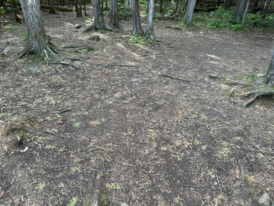 Caribou Lake Campsite 4