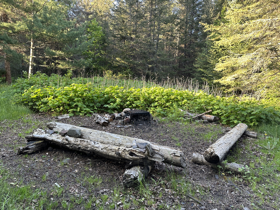 Caribou Lake Campsite 2