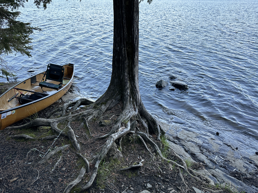 Caribou Lake Campsite 1