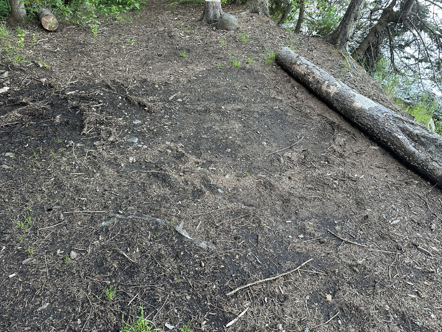 Caribou Lake Campsite 5