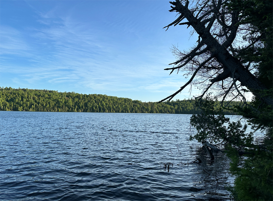 Caribou Lake Campsite 8