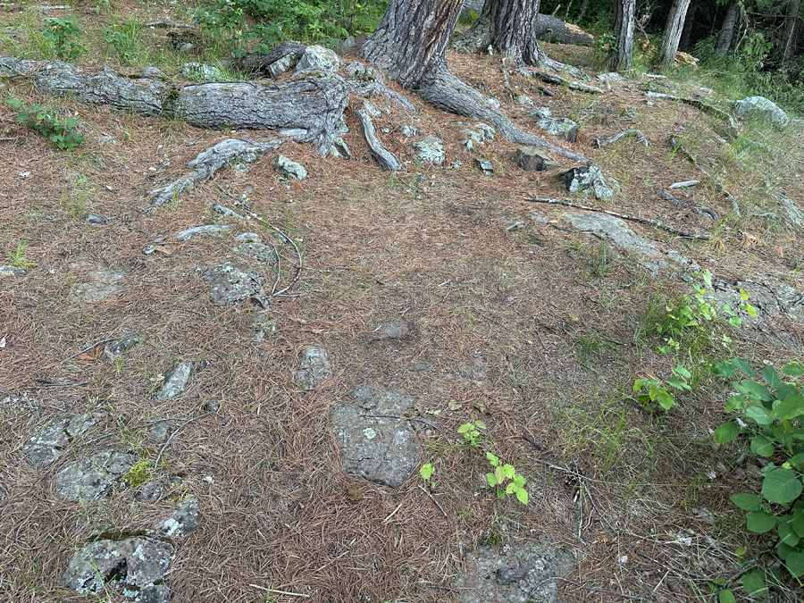 Caribou Lake Campsite 5