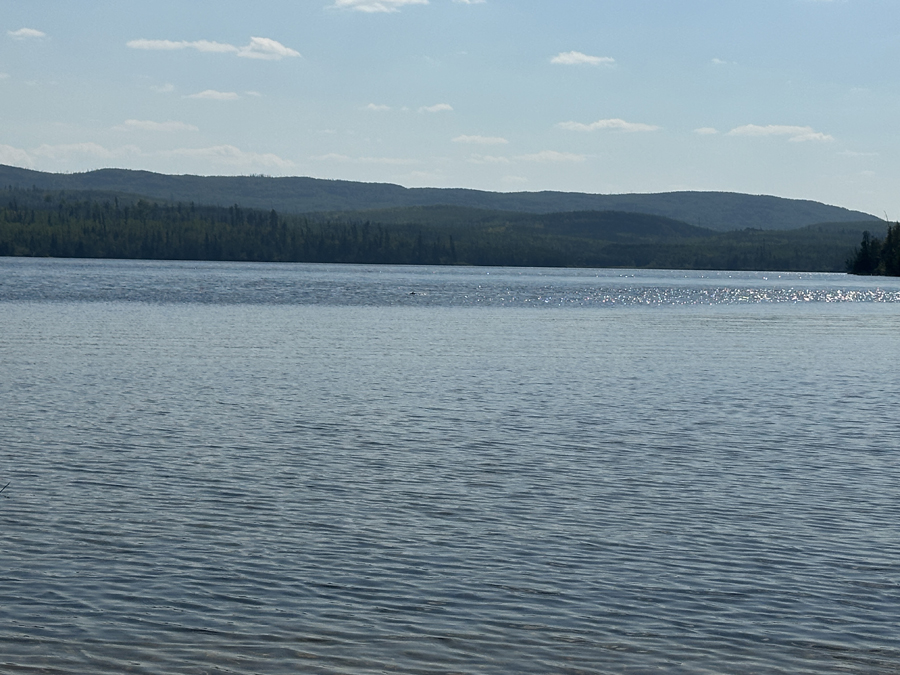 Clove Lake Campsite 10