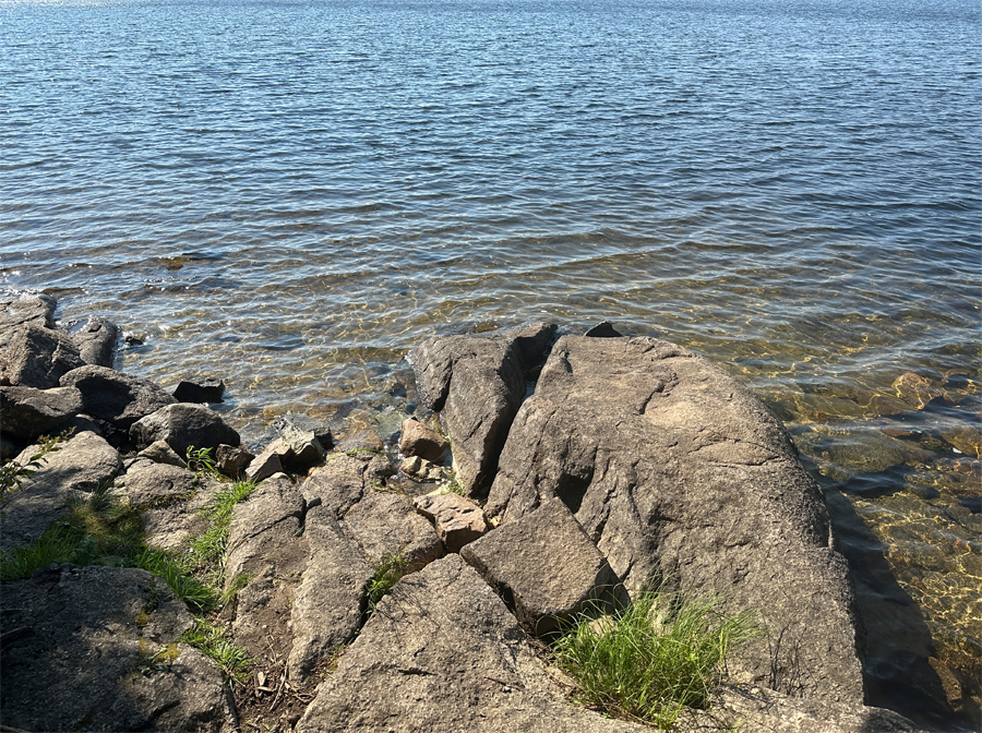 Clove Lake Campsite 1