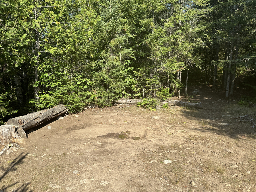 Clove Lake Campsite 5