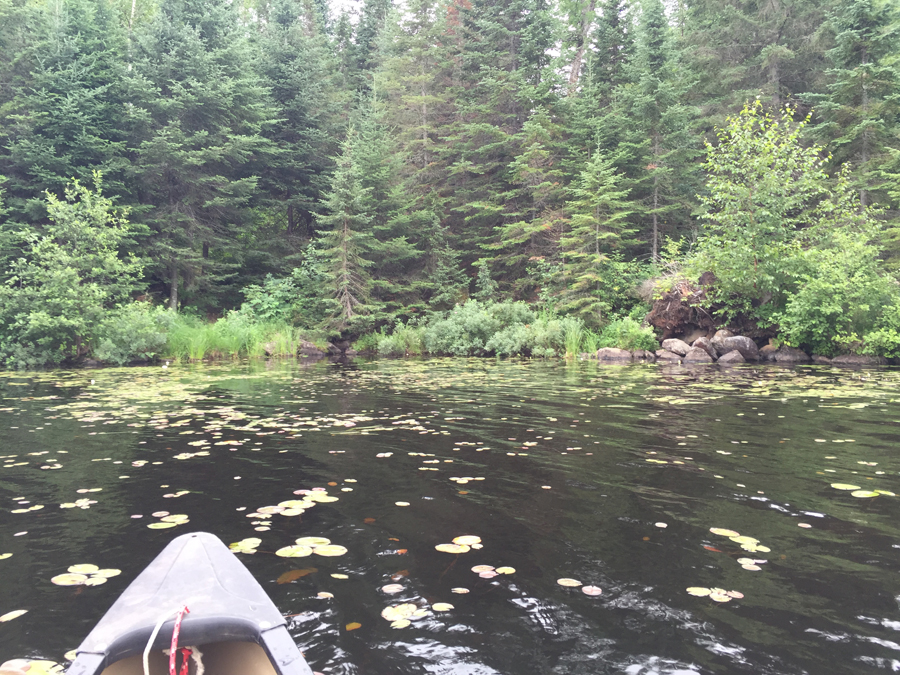 Sora Lake bushwhack 1