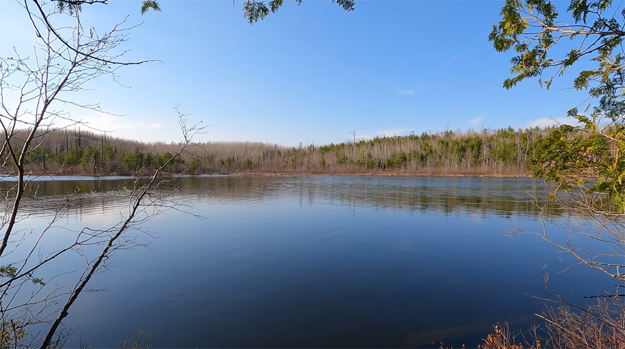 Crab Lake 1