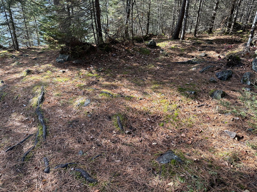 Daniels Lake Campsite 7