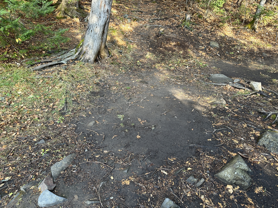 Daniels Lake Campsite 6