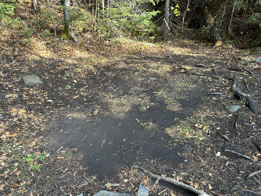 Daniels Lake Campsite 7