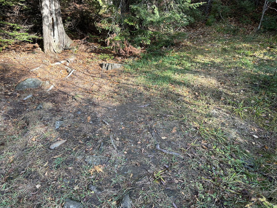 Daniels Lake Campsite 8