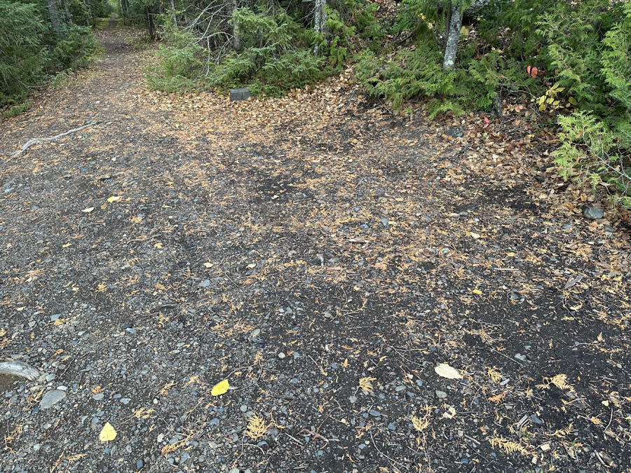 Daniels Lake Campsite 5