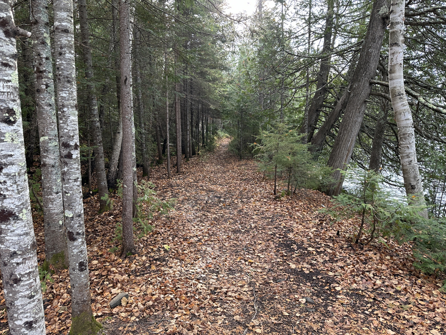 Daniels Lake Campsite 8