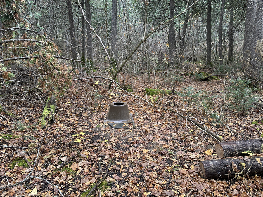 Daniels Lake Campsite 9