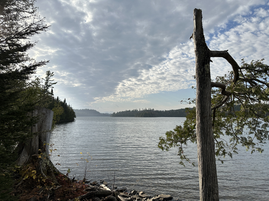 Daniels Lake Campsite 11