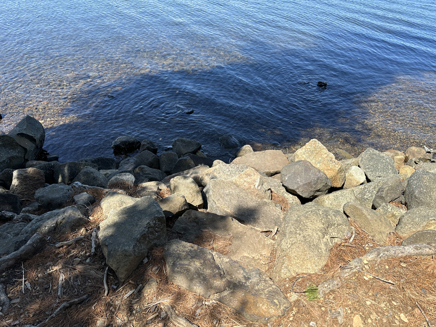 Duncan Lake Campsite 3