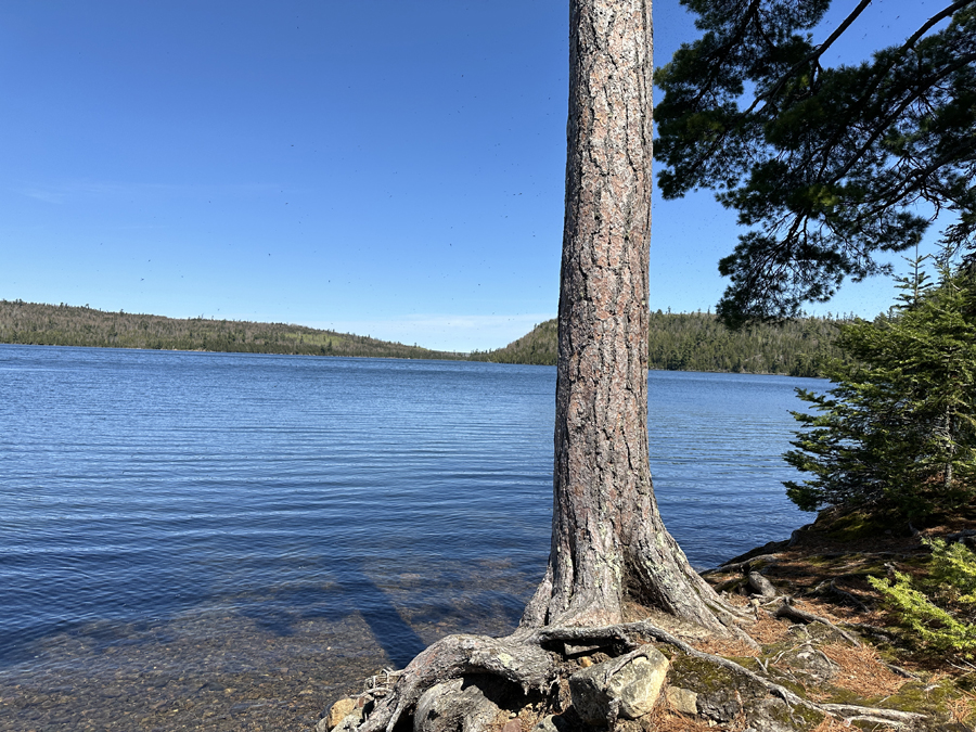 Duncan Lake Campsite 4