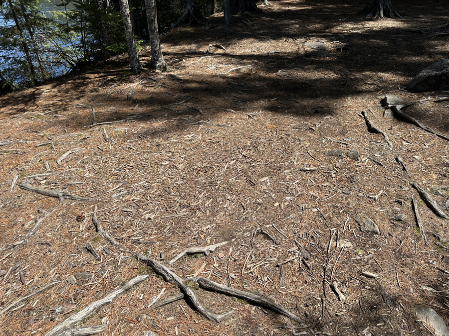 Duncan Lake Campsite 5