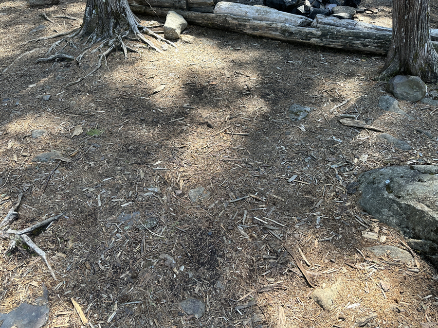 Duncan Lake Campsite 6