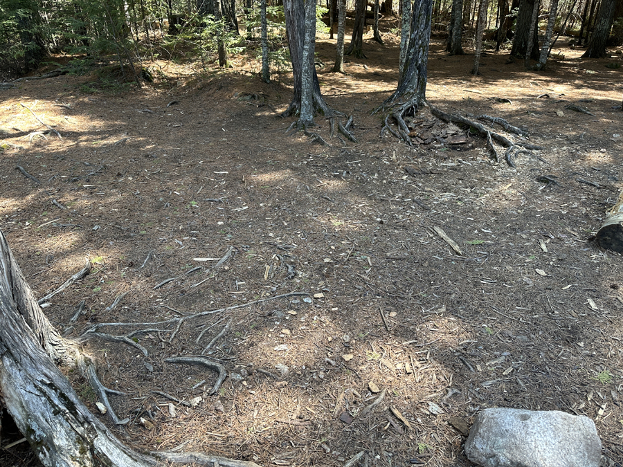 Duncan Lake Campsite 8