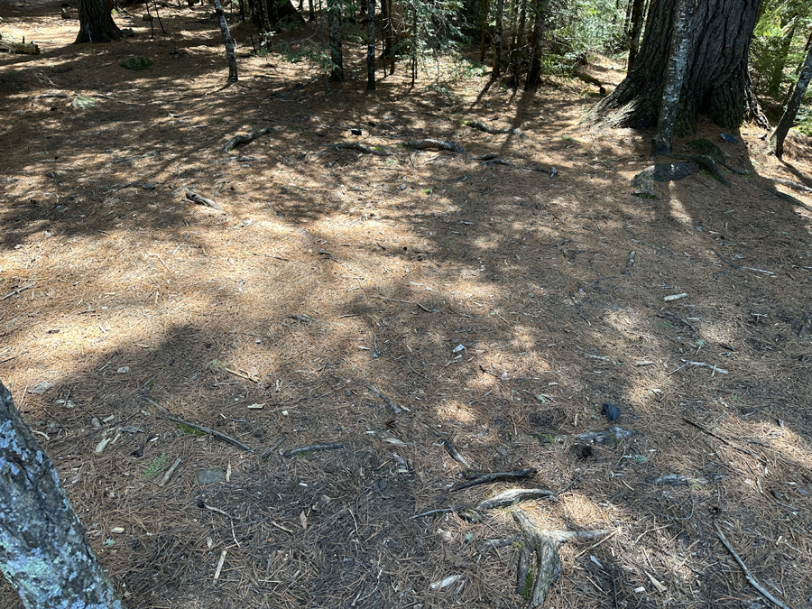 Duncan Lake Campsite 9